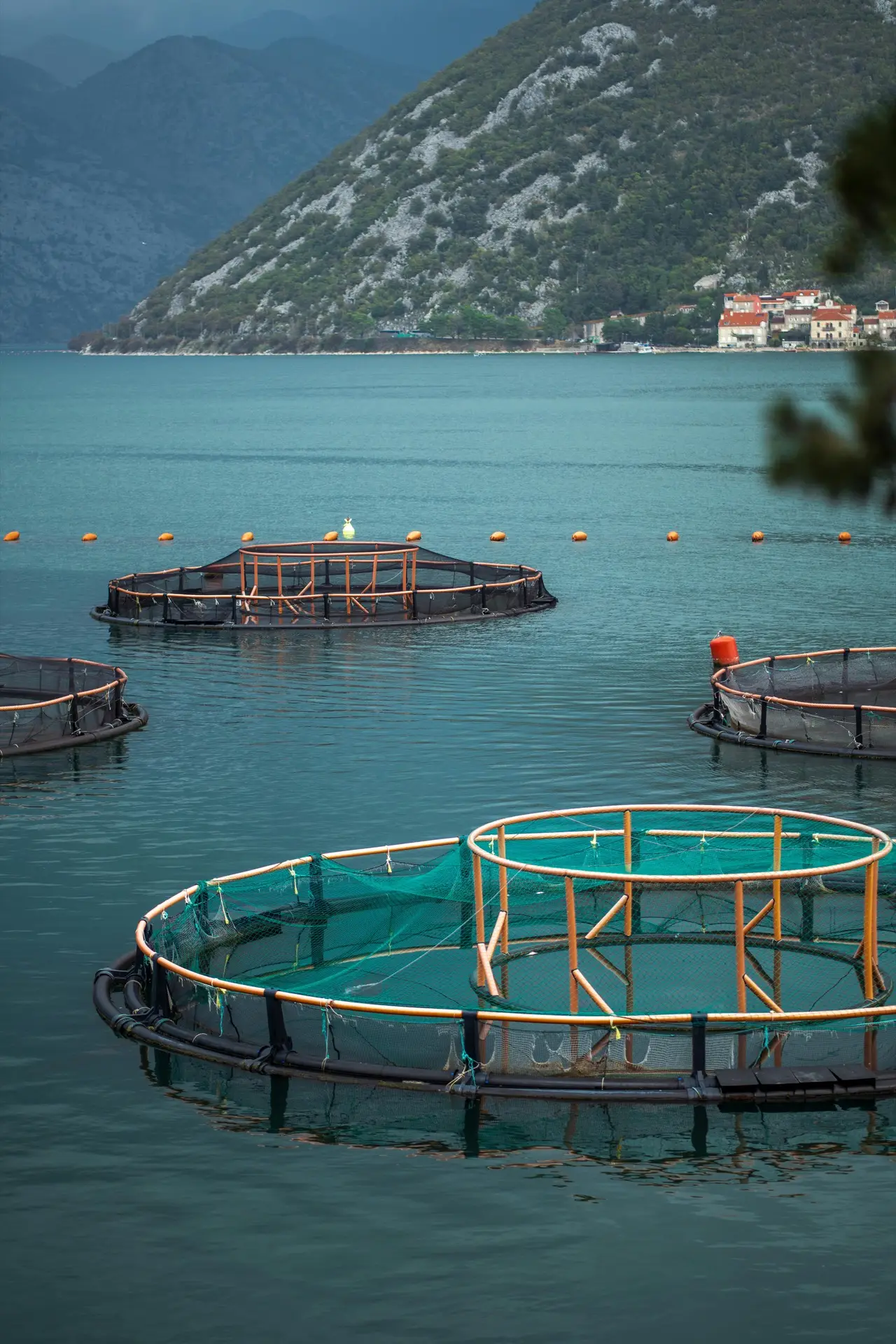 Fish Cage Net